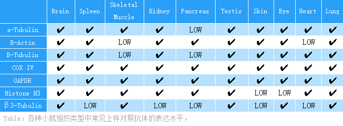 小鼠组织中常见内参的表达水平